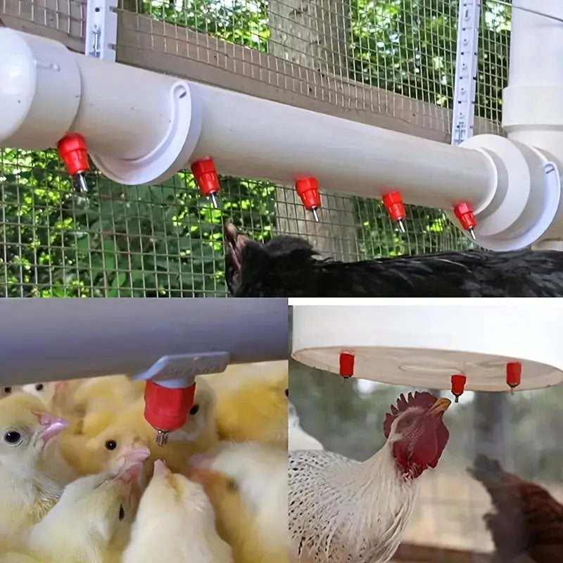 Automatic Poultry Waterer Nipples -Set of 50 (Premium Quality)