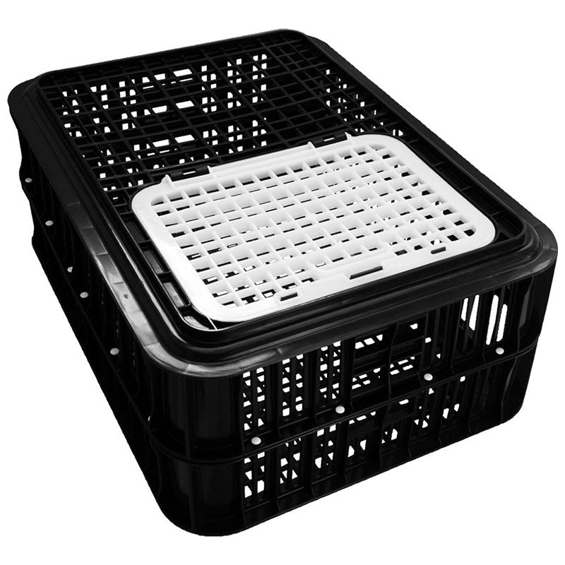 Classic Live Bird Crate - Recycled Black