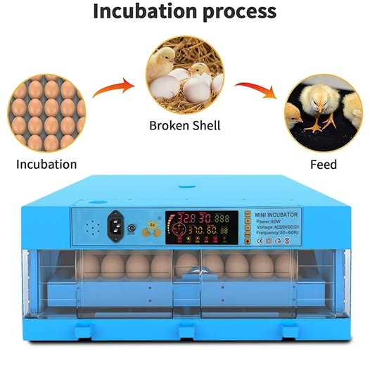 60 Egg Incubator Dual Voltage - Automatic Roller