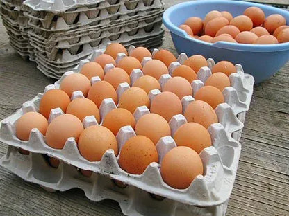 30-Egg Tray 100 Bulk Pack (Econo Range)