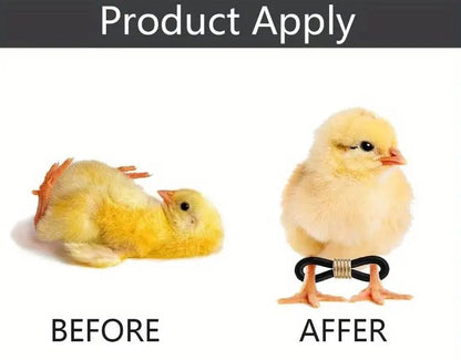 Adjustable Splay Leg Hobble Braces for Chicks - 30 Pieces