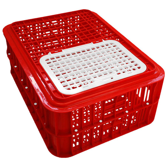 Classic Live Bird Crate - Virgin - Red