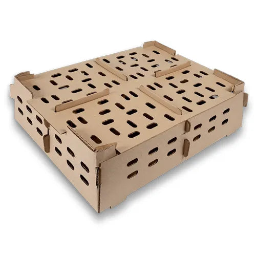 Corrugated Box for 100 Chicks - 4 Compartment