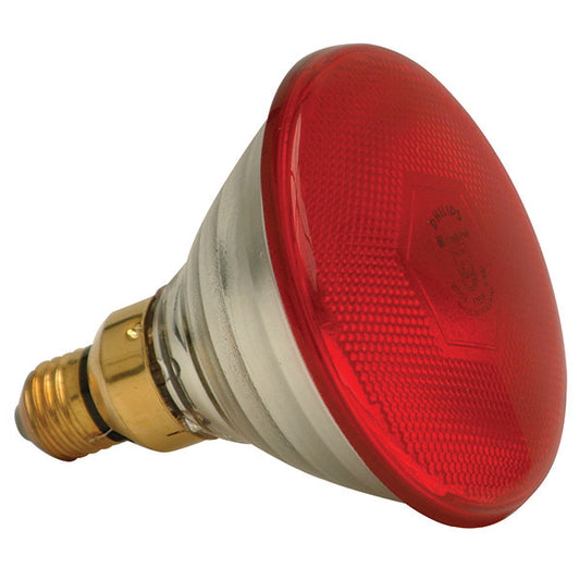 Philips Infrared Lamp - 175W