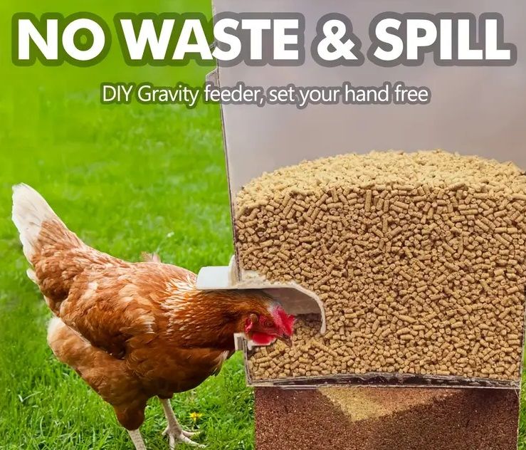 Plastic Automatic Gravity Chicken Feeders - Set of 3