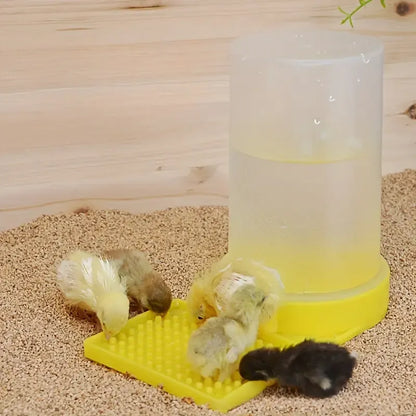 Water Dispenser for Chicks - Anti-Drowning